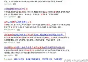 定西seo，揭秘定西关键词快速排名公司，如何助您在搜索引擎中脱颖而出