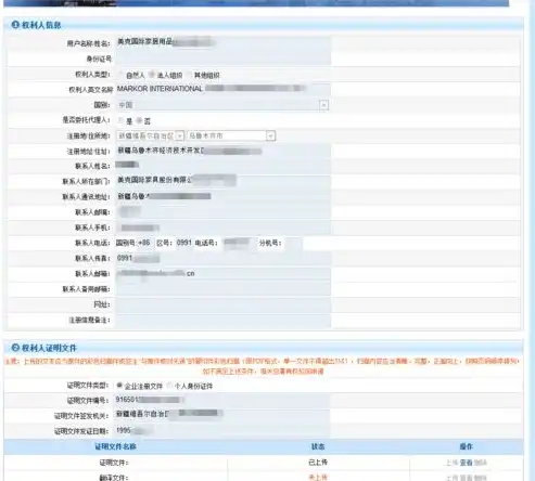 网站公安局备案查询，揭秘网站公安局备案，了解备案流程及重要性，保障网络安全