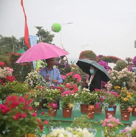 肇庆花卉基地，肇庆花卉基地SEO优化攻略，打造花卉行业领军品牌