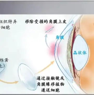 数据库恢复的实现技术有哪些，数据库恢复实现技术综述，从基本原理到前沿应用