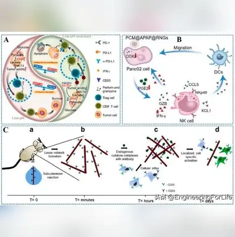 数据库恢复的实现技术有哪些，数据库恢复实现技术综述，从基本原理到前沿应用