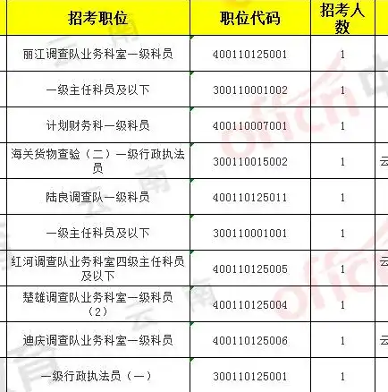 网站统计代码怎么添加，深入解析网站统计代码的添加与应用