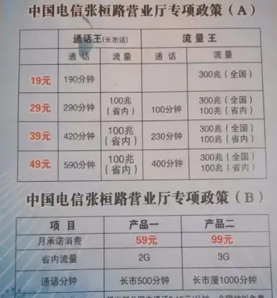 中国电信服务器租用价格表，北京电信通服务器租用性价比之选，中国电信服务器租用价格表深度解析