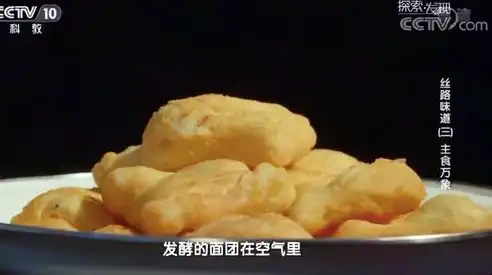 食品饮料网站源码是什么，揭秘食品饮料网站源码，打造个性化美食探索之旅