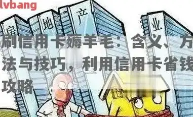 怎么查看vps网站服务器时间长短，深入解析，VPS网站服务器时间查看方法及技巧详解