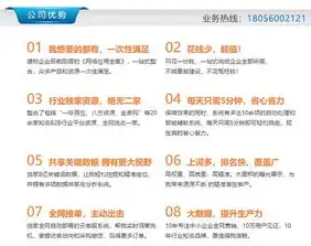 合肥关键词seo公司排名，合肥关键词SEO公司排名解析揭秘合肥地区SEO优化哪家强？