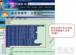 政府网站源码破解教程，揭秘政府网站源码破解全攻略，安全风险与应对措施