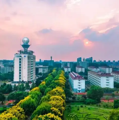 滁州网站建设，打造品牌新形象，助力企业腾飞