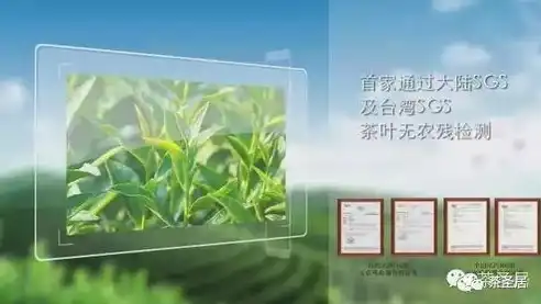 茶叶网页，品味自然之韵，探寻绿色茶叶之旅——精美PHP茶叶网站源码推荐