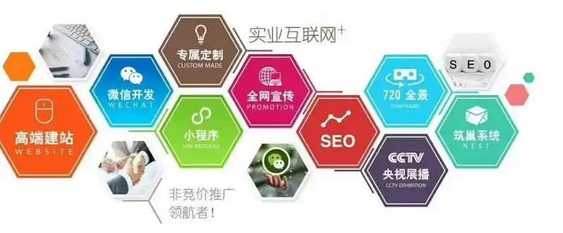 专业关键词seo公司有哪些，揭秘专业SEO公司，如何助您在互联网时代脱颖而出