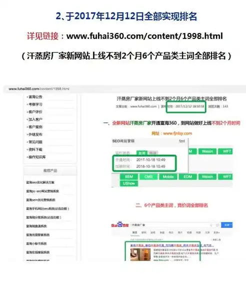 专业关键词seo公司排名，揭秘专业SEO公司排名，如何打造高效的搜索引擎优化策略