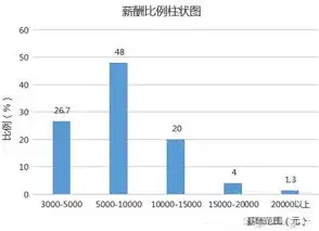 数据采集工程师年薪多少钱，揭秘数据采集工程师年薪，行业薪资水平及影响因素深度分析