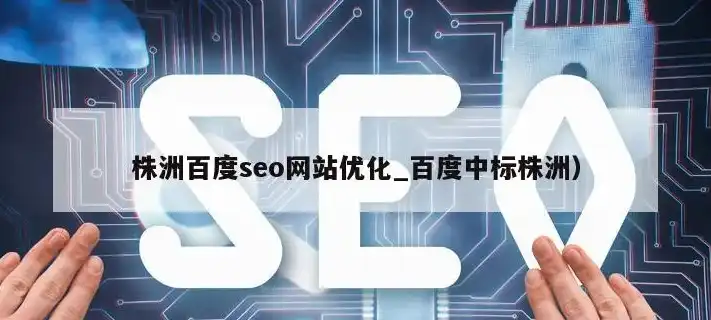 株洲自助建站seo，株洲百度推广SEO攻略株洲自助建站SEO优化全解析