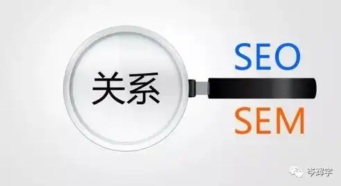 sem和seo区别和分别举例，SEM与SEO，深度解析两种搜索引擎营销策略的差异与运用实例