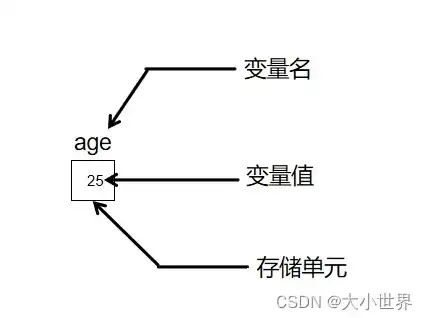 变量命名网站怎么做，深入解析，如何打造一个专业的变量命名网站——全面指南