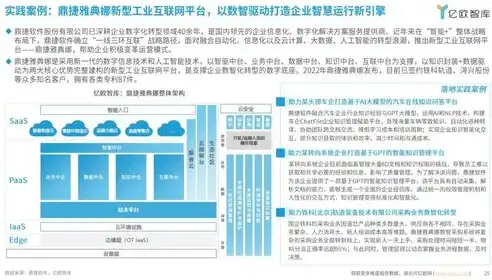 平台即服务的应用，平台即服务，重塑企业数字化转型新范式