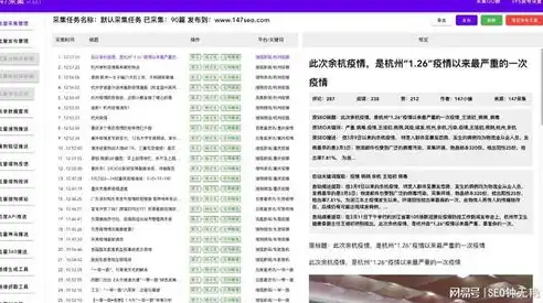 文章关键词抓取软件是什么，揭秘文章关键词抓取软件，高效内容优化利器