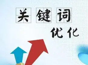 武汉关键词优化软件，深耕武汉市场，揭秘关键词优化软件在本地化营销中的应用与价值