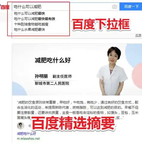 百度seo关键词优化方案，深度解析百度SEO关键词优化方案，打造高效关键词布局，助力网站排名飙升！