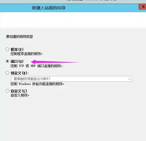 阿里云服务器公网ip和私网ip，深入解析阿里云服务器公网IP与私网IP，区别、应用与维护