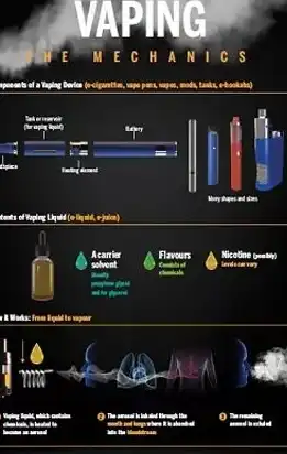 怎样推广网站小说，网络征途，揭秘网站推广的五大秘籍