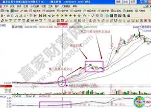 seo日常工作内容，SEO日常工作，全方位策略解析与实战技巧分享