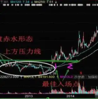 深入解析，网站源码导入方法全攻略，怎么导入网站源码信息