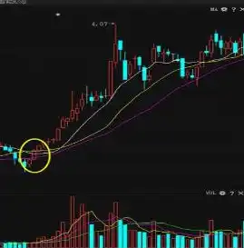 深入解析，网站源码导入方法全攻略，怎么导入网站源码信息