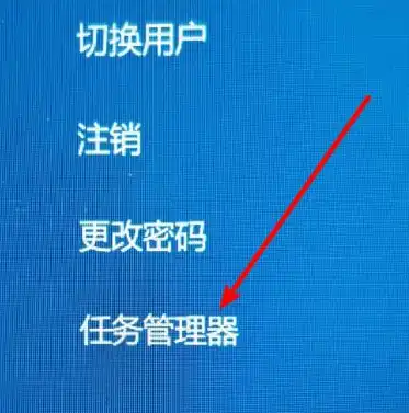 探索SEO Alt标签的奥秘，提升网站优化效果的关键技巧解析，seo alt标签