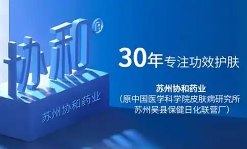 匠心独运，引领潮流，揭秘优秀网站建设设计公司的核心竞争力，网站建设设计公司排名