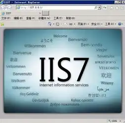 深入解析2008R2系统下IIS服务器的配置技巧与优化策略，windows server 2008 iis配置