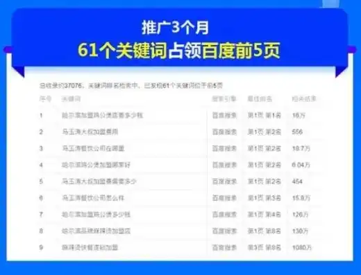 中山百度关键词优化攻略，提升网站排名，抢占搜索红利，百度关键词优化软件怎么样