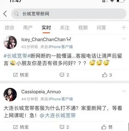 揭秘高带宽服务器租用，如何为您的业务提供稳定高效的网络支持，高带宽服务器租用多少钱一年