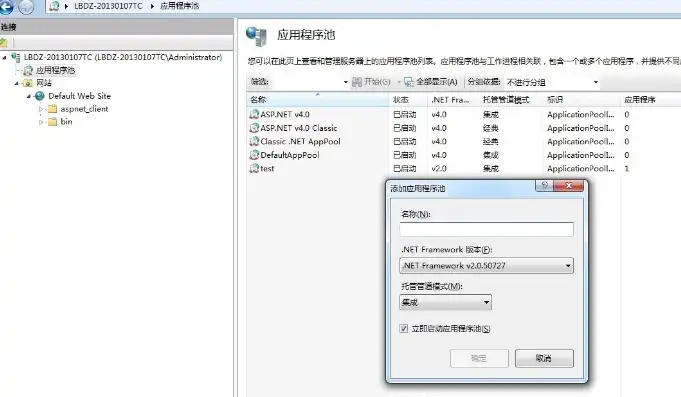 深入解析IIS服务器配置错误，原因与解决方案，服务器 iis