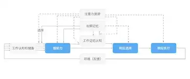 深度解析，网站设计与规划的全方位策略与实施要点，网站设计与规划大作业答案