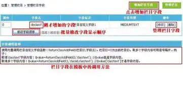 帝国SEO实战指南，关键词优化与描述撰写技巧全解析，帝国cms标签调用大全