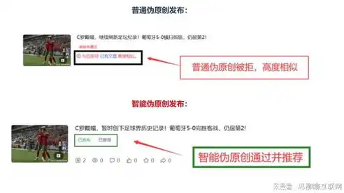 WordPress优化分类目录SEO标题，全面攻略，助你提升网站流量，wordpress怎么创建分类