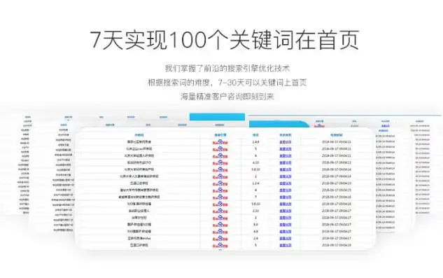 深度解析南阳百度SEO关键词排名工具，助力企业高效提升搜索引擎排名，南阳百度seo关键词排名工具在哪