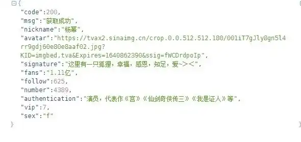 揭秘视频网站PHP源码，深入剖析代码逻辑与实现细节，php在线视频源码