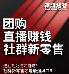 揭秘国际交友网站源码，揭秘社交平台背后的技术奥秘，国际交友网站源码有哪些