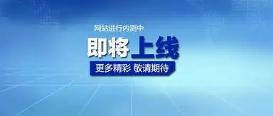 网站制作的完整流程，从策划到上线，一步一个脚印，网站制作步骤流程图