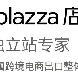 打造企业网站新高度——揭秘专业建站公司的核心竞争力，建企业网站的公司叫什么