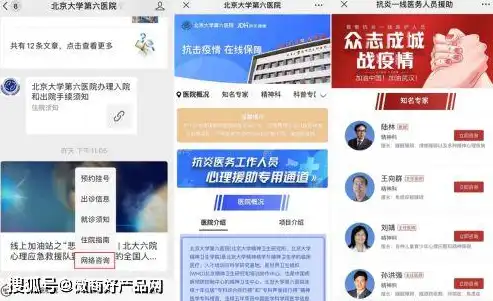 免费PHP政府网站源码，打造高效政务服务平台的关键一步，免费php政府网站源码安装