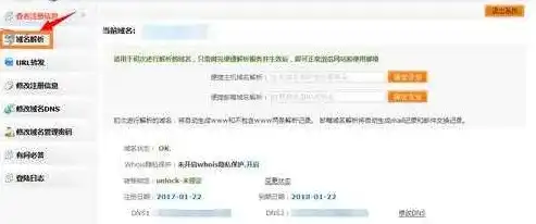 深度解析，服务器绑定域名不生效的五大原因及解决方案，服务器绑定域名不生效怎么办