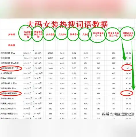 揭秘关键词排名费用，如何精准投资提升网站流量与转化率，关键词排名s