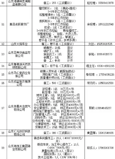 单县企业网站建设指南，打造品牌新阵地，单县哪里招工