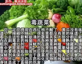 探寻美食之源，揭秘食品饮料网站源码背后的秘密，食品饮料网站源码查询