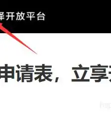 SEO查询界面深度解析，功能解析与优化策略，seo查询界面讲解怎么写