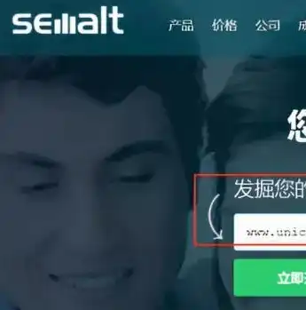 SEO查询界面深度解析，功能解析与优化策略，seo查询界面讲解怎么写