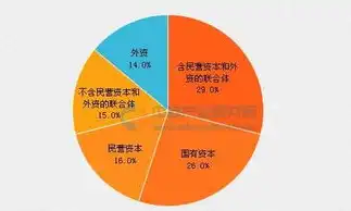 深入解析数据库中的多样化数据类型及其应用，数据库有几种数据类型